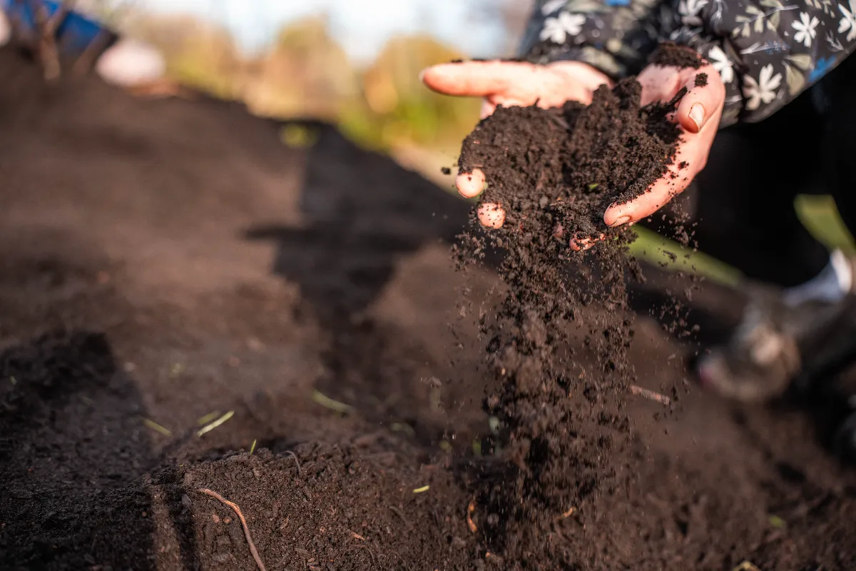 Compost et terre végétale - La Gazonnière