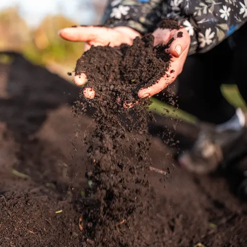 Qu'est-ce que le compost ?