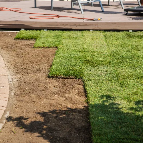 Entretien du gazon méditerranéen