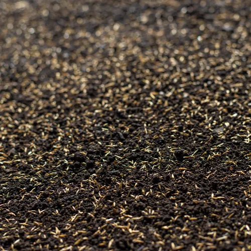 Comment semer un gazon dans mon jardin ?