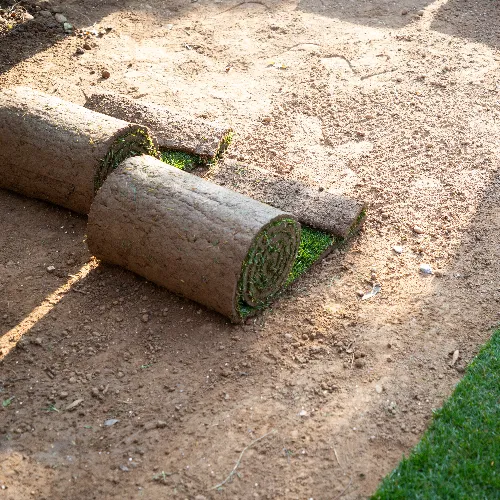 Quelles variétés de gazon faut il choisir ?