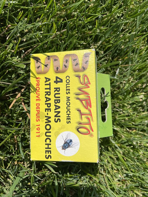 4 rubans attrape-mouches Subito