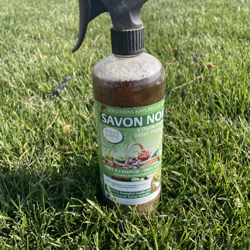 Savon noir Marius Fabre 750 ml