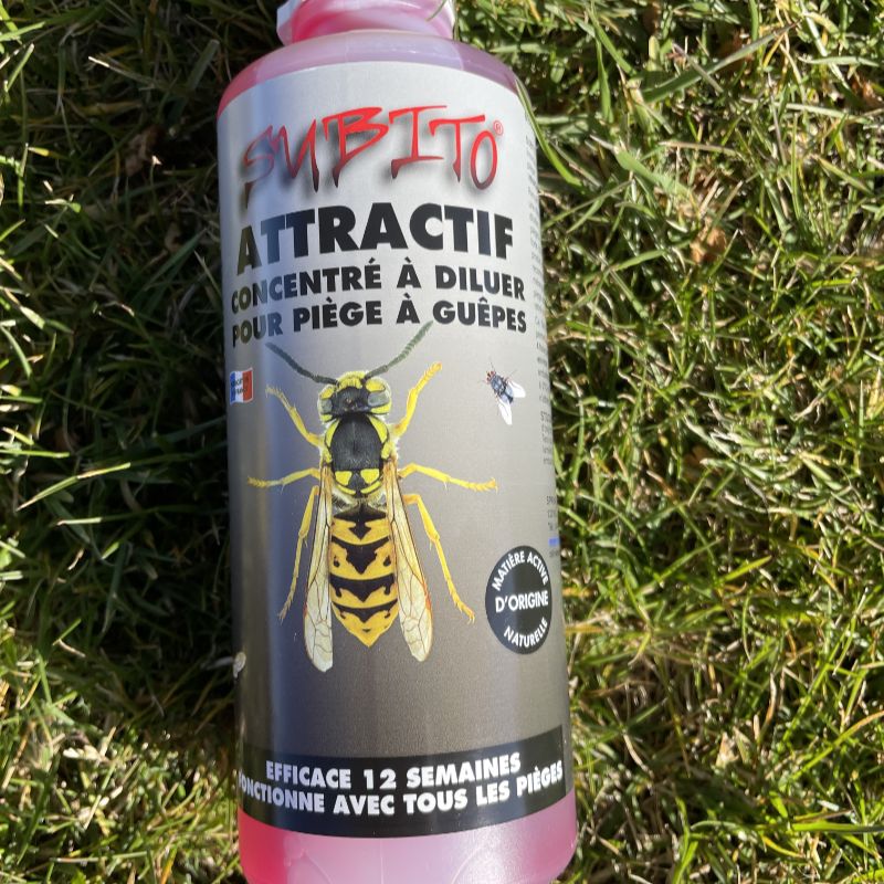 Attractif piège à guêpes Subito 500 ml