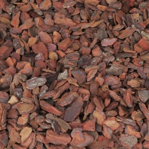 Écorce de pin maritime