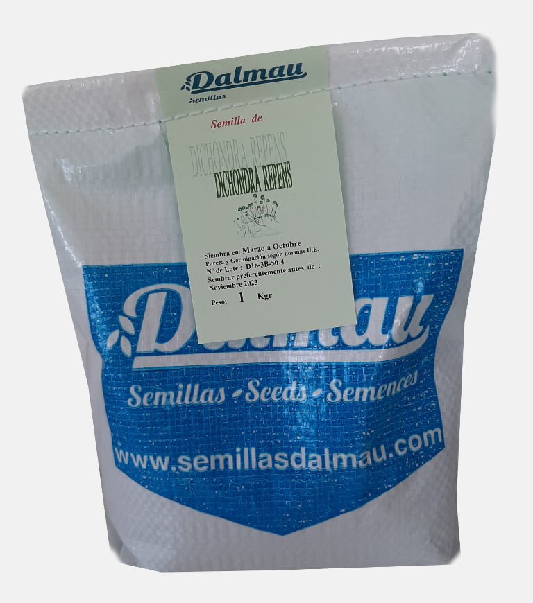 Graines Dichondra Repens