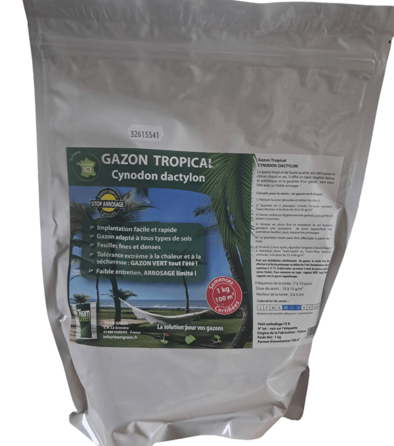 Graines Cynodon Dactylon