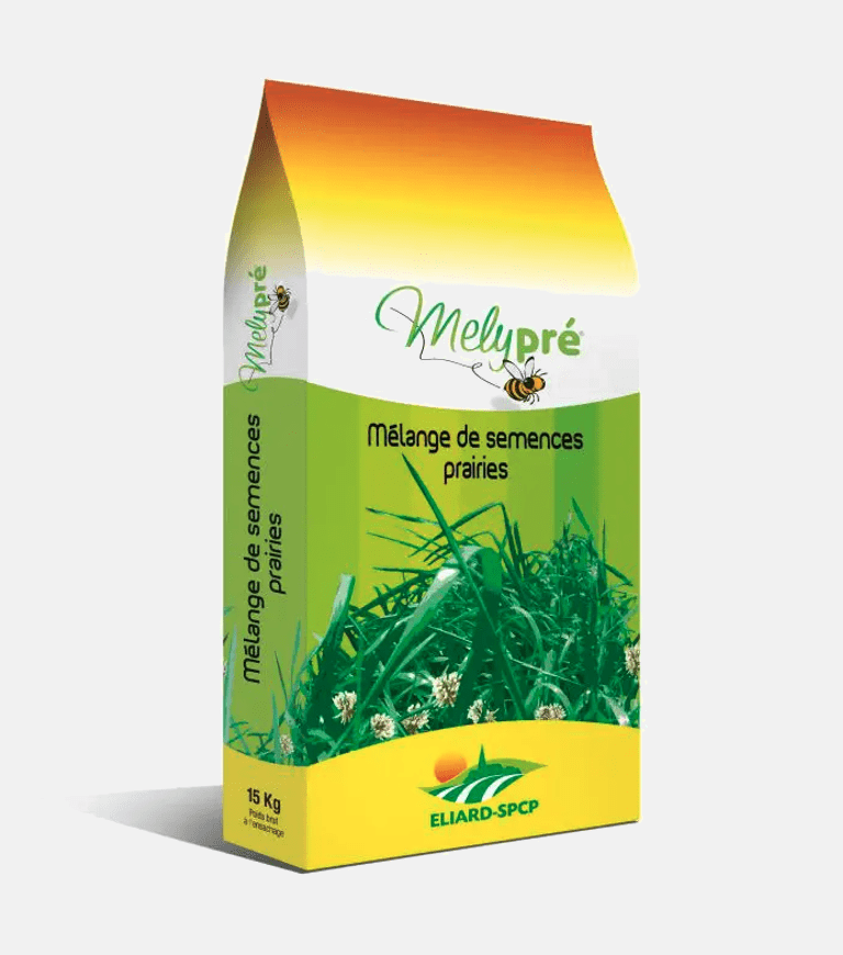 Graines de gazon Prairie