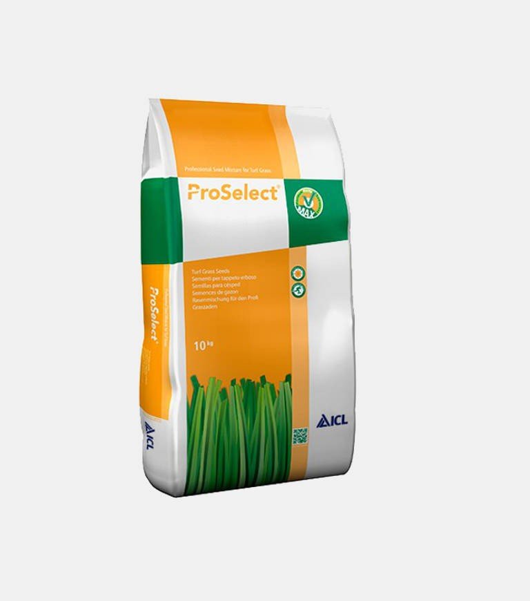 Graines de gazon Méditerranéen Strong