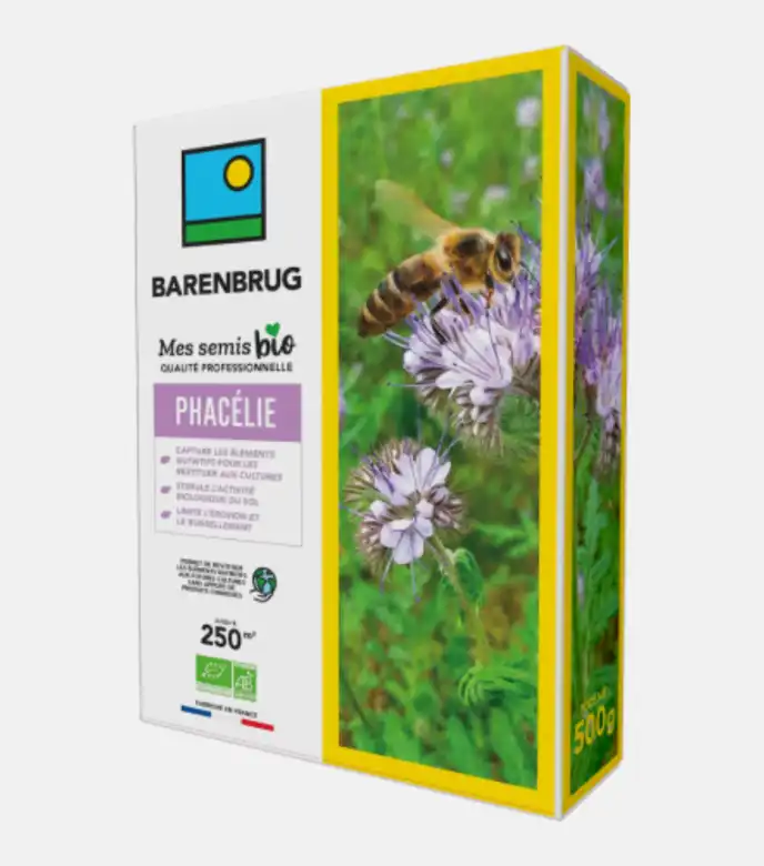 Phacélie Bio