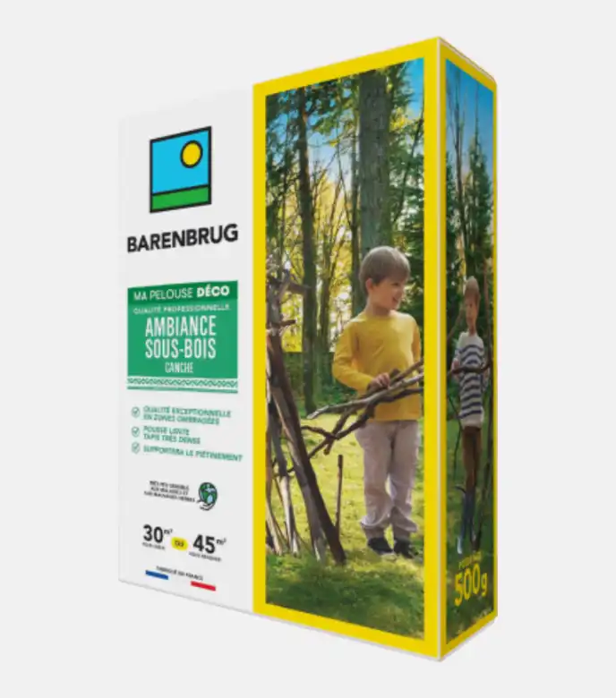 Ambiance Sous-Bois Canche