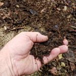 Comment et pourquoi utiliser du compost pour le gazon et les plantes ?