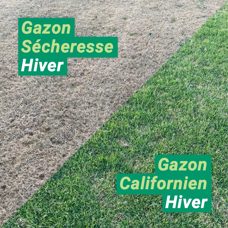 Simulation gazon pelouse mur plantes vertes bricol – Grandado
